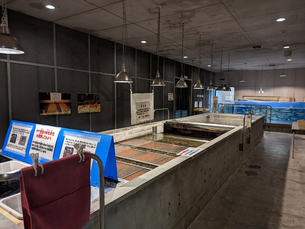 f:id:ranchou:20251115162951j:image f:id:ranchou:20251115162951j:image