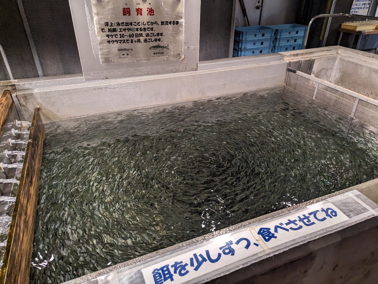 f:id:ranchou:20251115163010j:image f:id:ranchou:20251115163010j:image