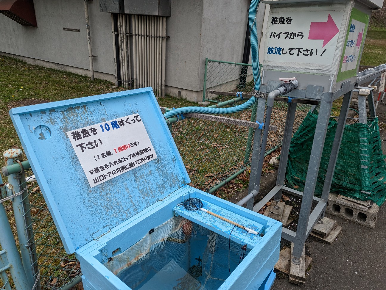 f:id:ranchou:20251115163056j:image f:id:ranchou:20251115163056j:image