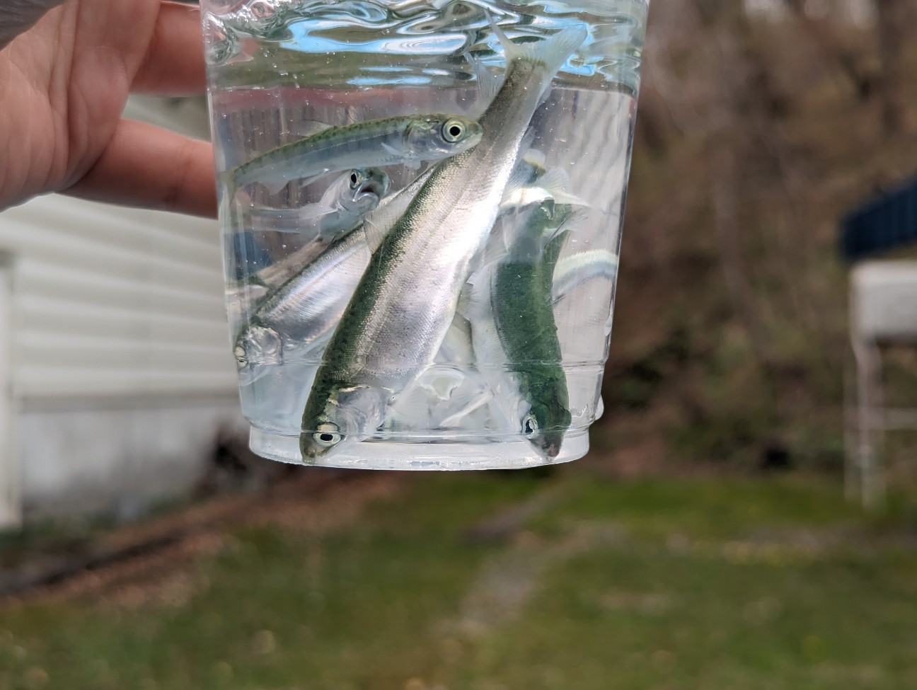 f:id:ranchou:20251115163119j:image f:id:ranchou:20251115163119j:image