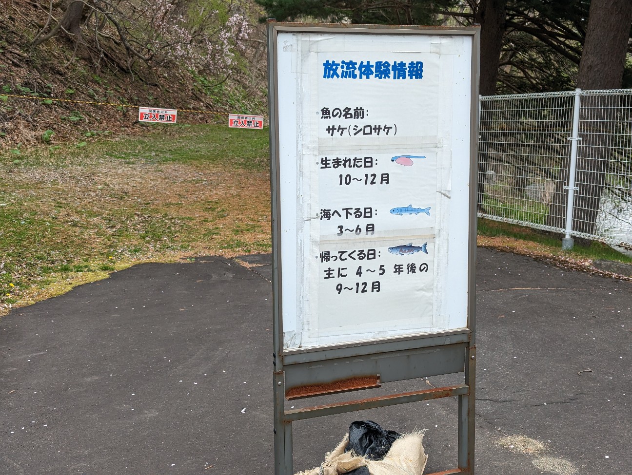 f:id:ranchou:20251115163130j:image f:id:ranchou:20251115163130j:image