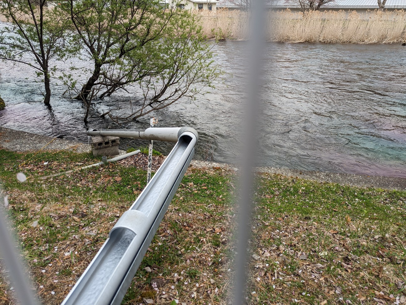 f:id:ranchou:20251115163151j:image f:id:ranchou:20251115163151j:image