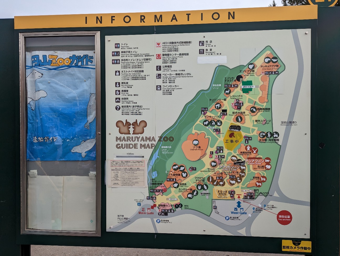 f:id:ranchou:20251115164719j:image