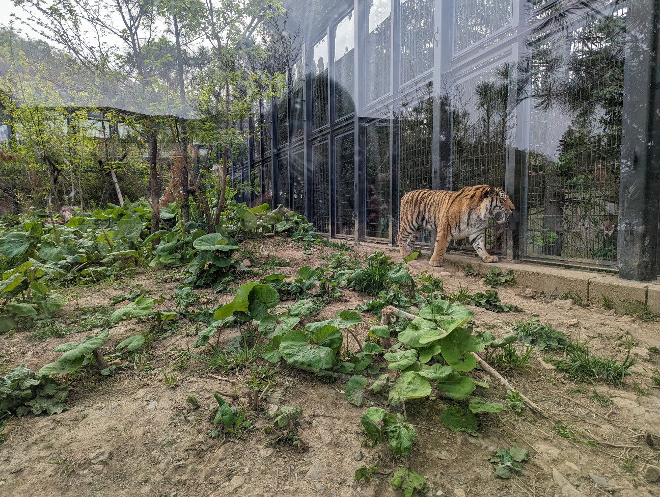 f:id:ranchou:20251115164810j:image