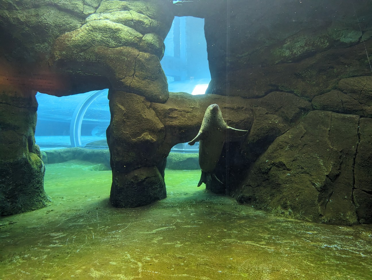 f:id:ranchou:20251115164825j:image