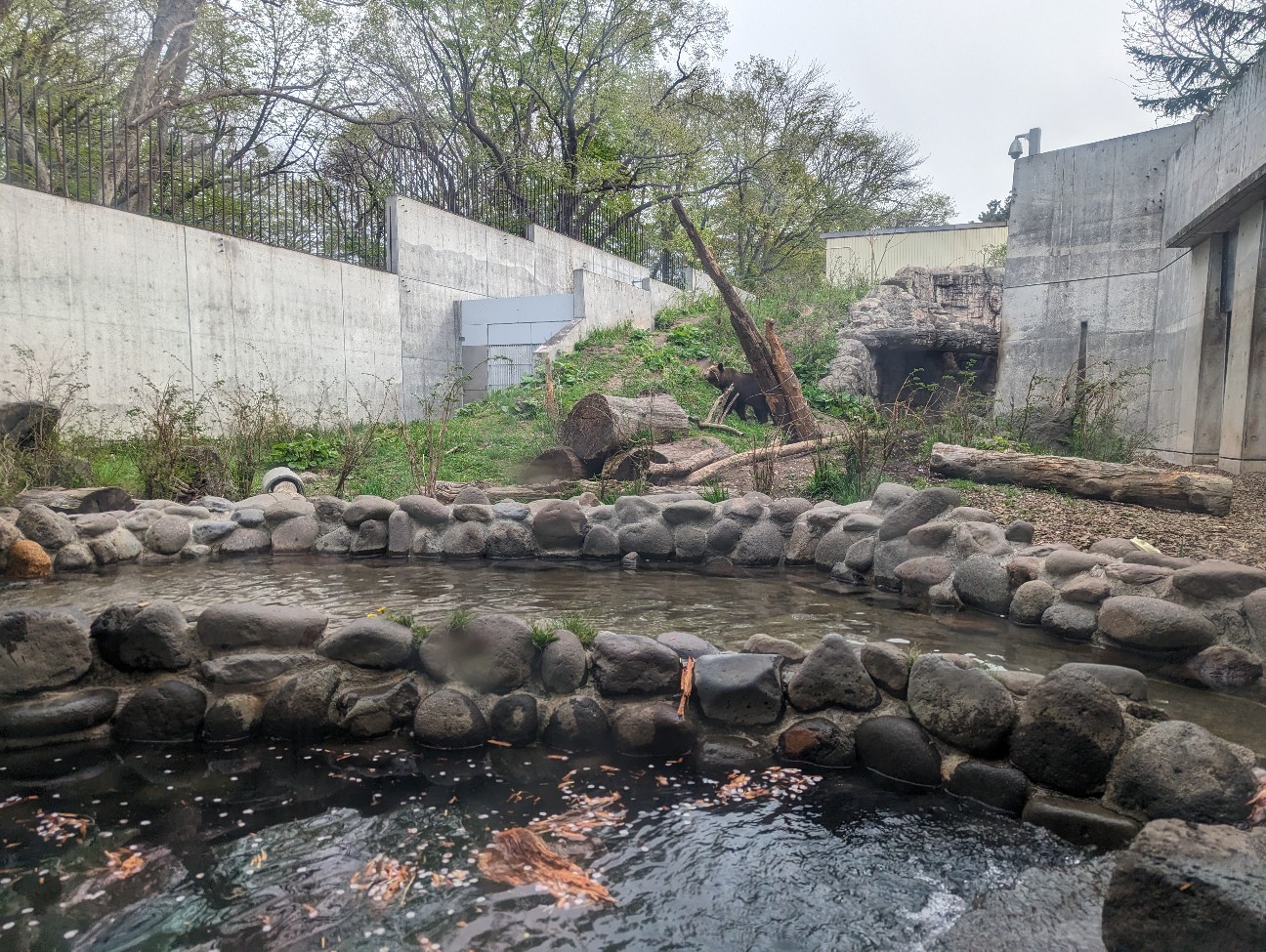 f:id:ranchou:20251115164902j:image