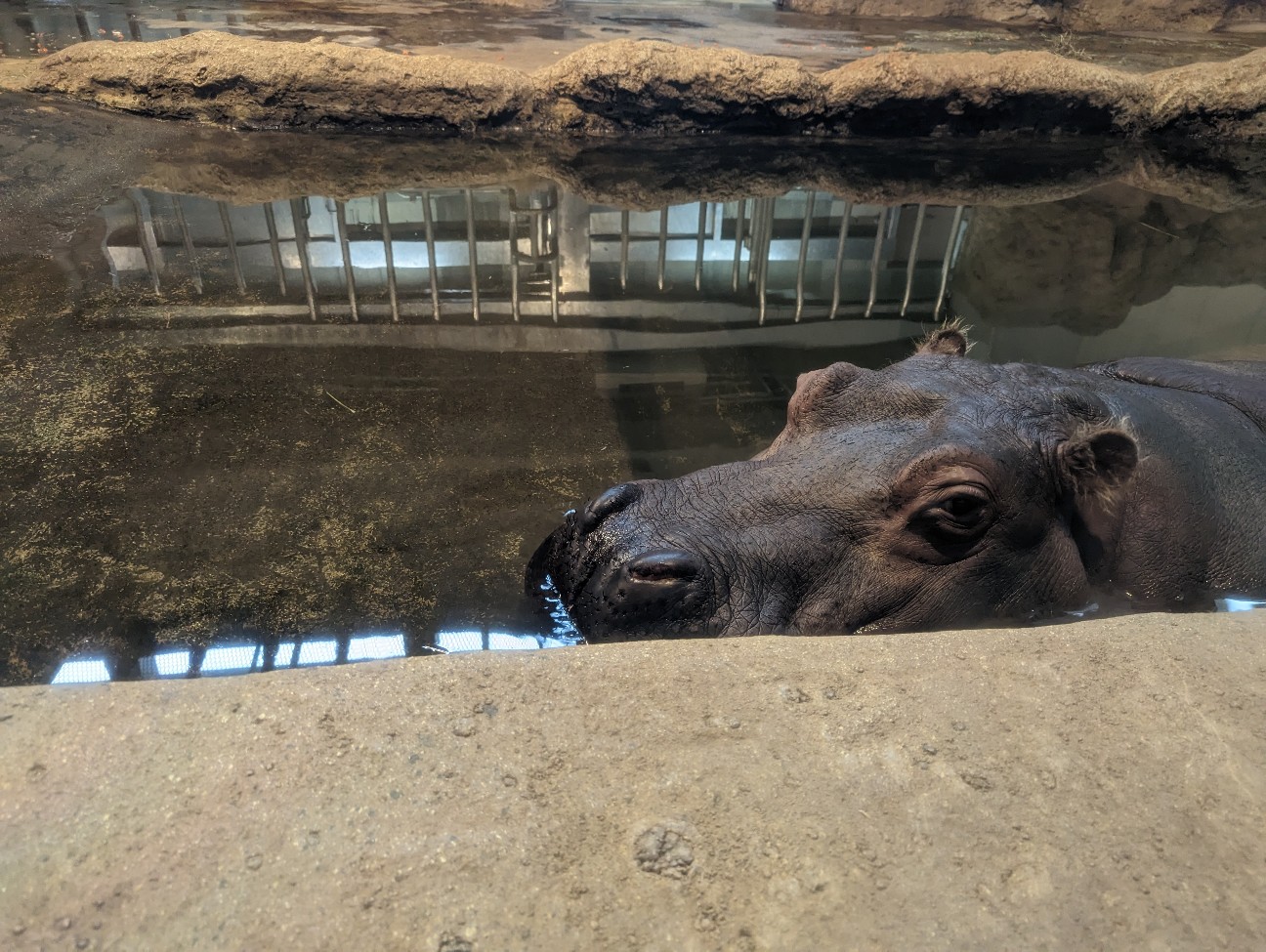 f:id:ranchou:20251115164940j:image