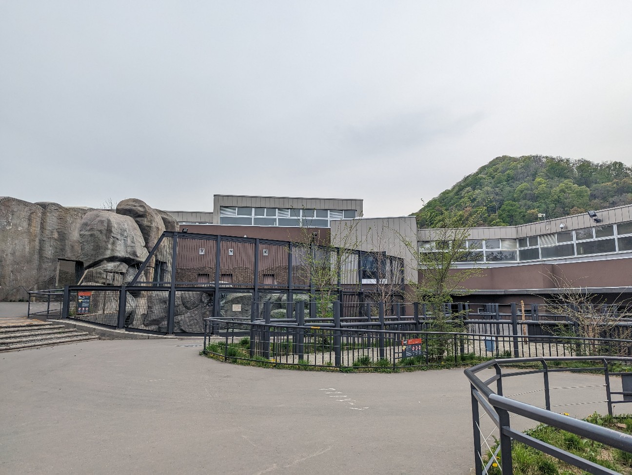 f:id:ranchou:20251115164954j:image