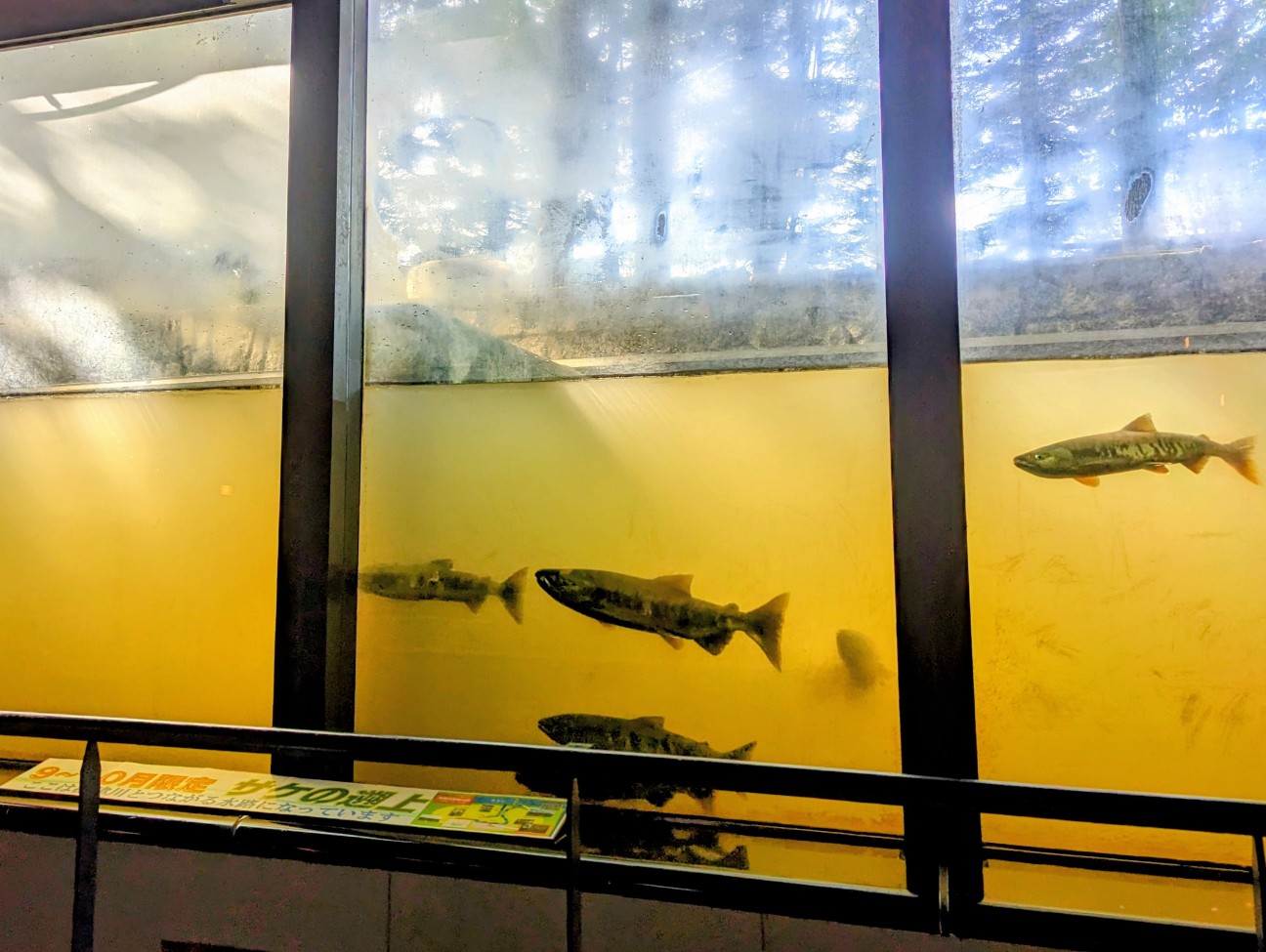 f:id:ranchou:20251127211226j:image f:id:ranchou:20251127211226j:image