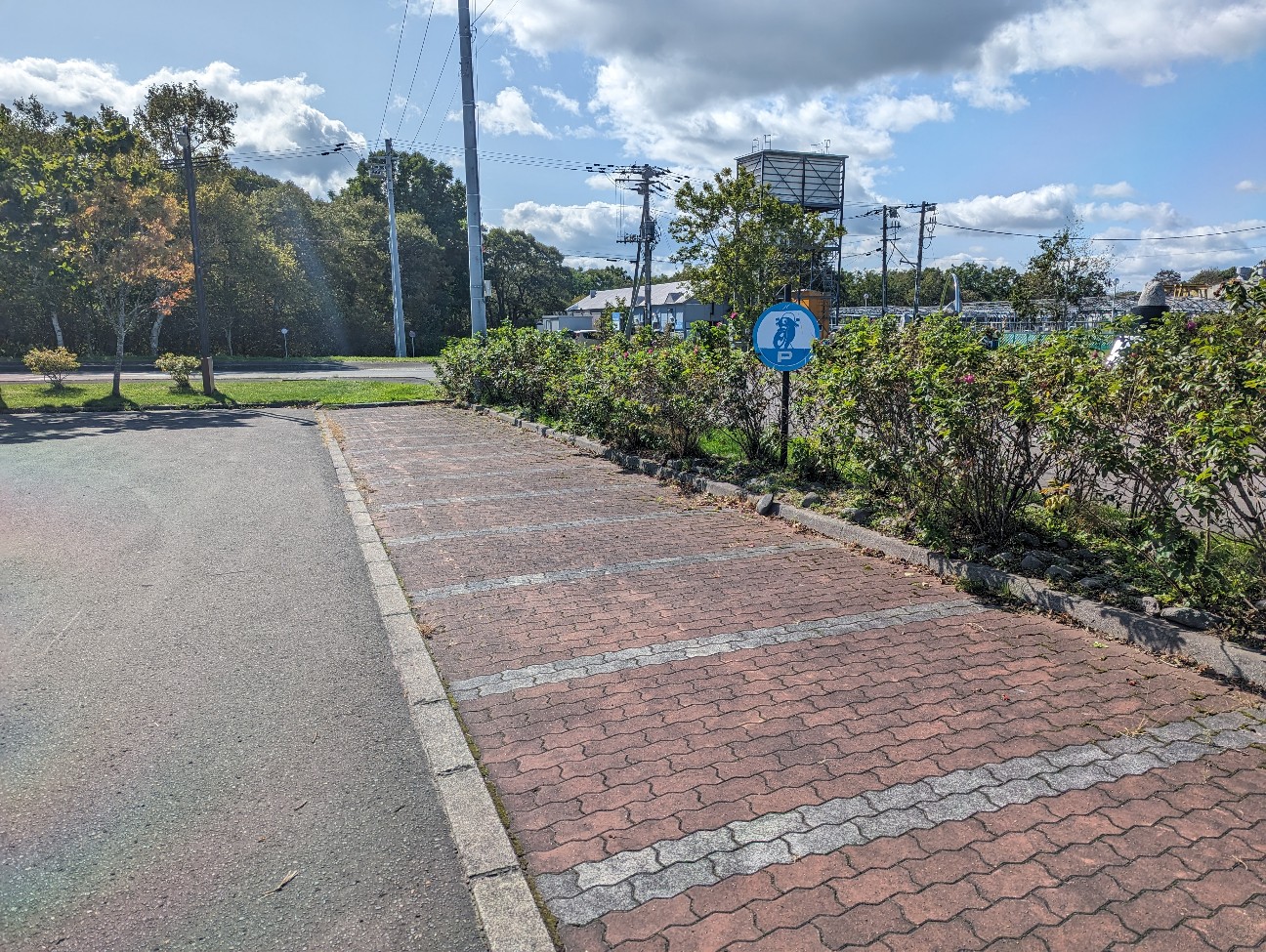 f:id:ranchou:20251201213128j:image f:id:ranchou:20251201213128j:image