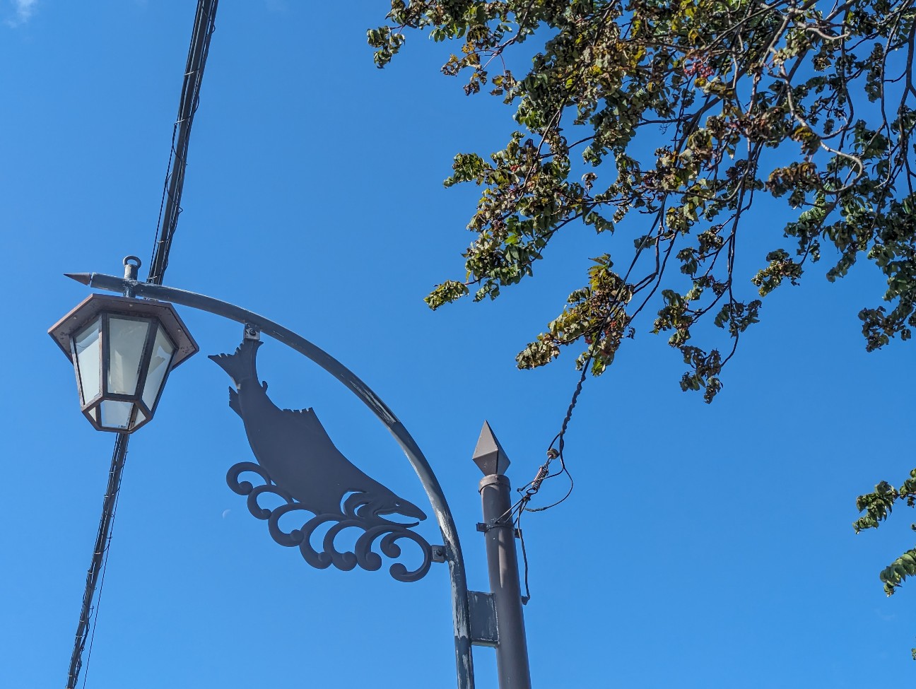 f:id:ranchou:20251201213302j:image f:id:ranchou:20251201213302j:image