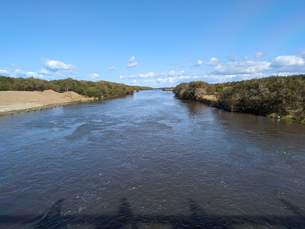 f:id:ranchou:20251201213927j:image f:id:ranchou:20251201213927j:image