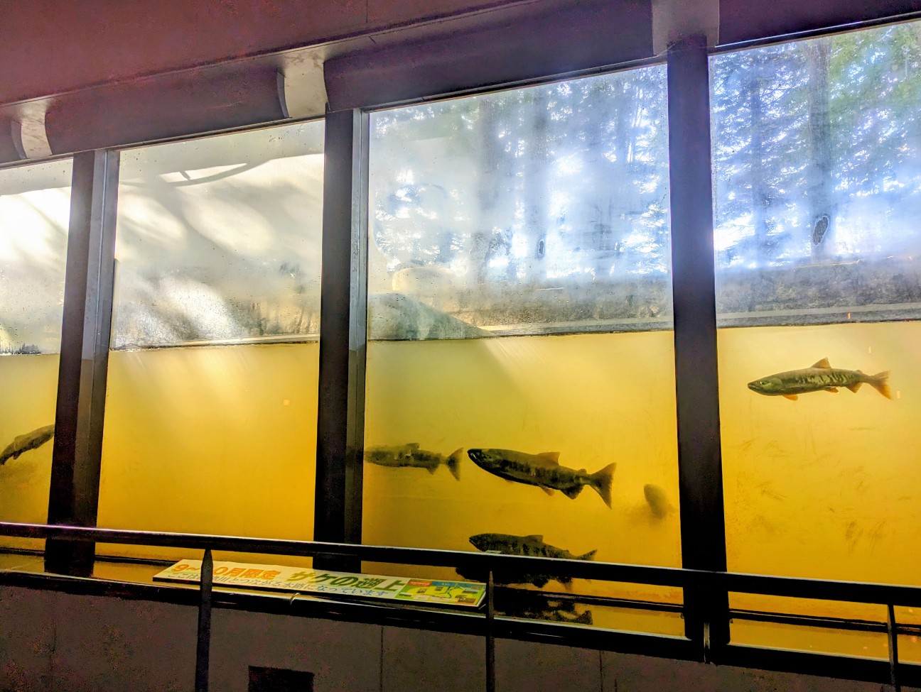 f:id:ranchou:20251201214139j:image f:id:ranchou:20251201214139j:image