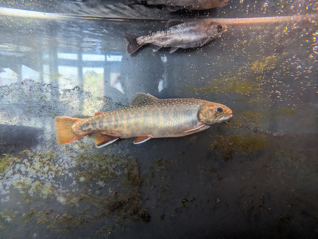 f:id:ranchou:20251201214203j:image f:id:ranchou:20251201214203j:image