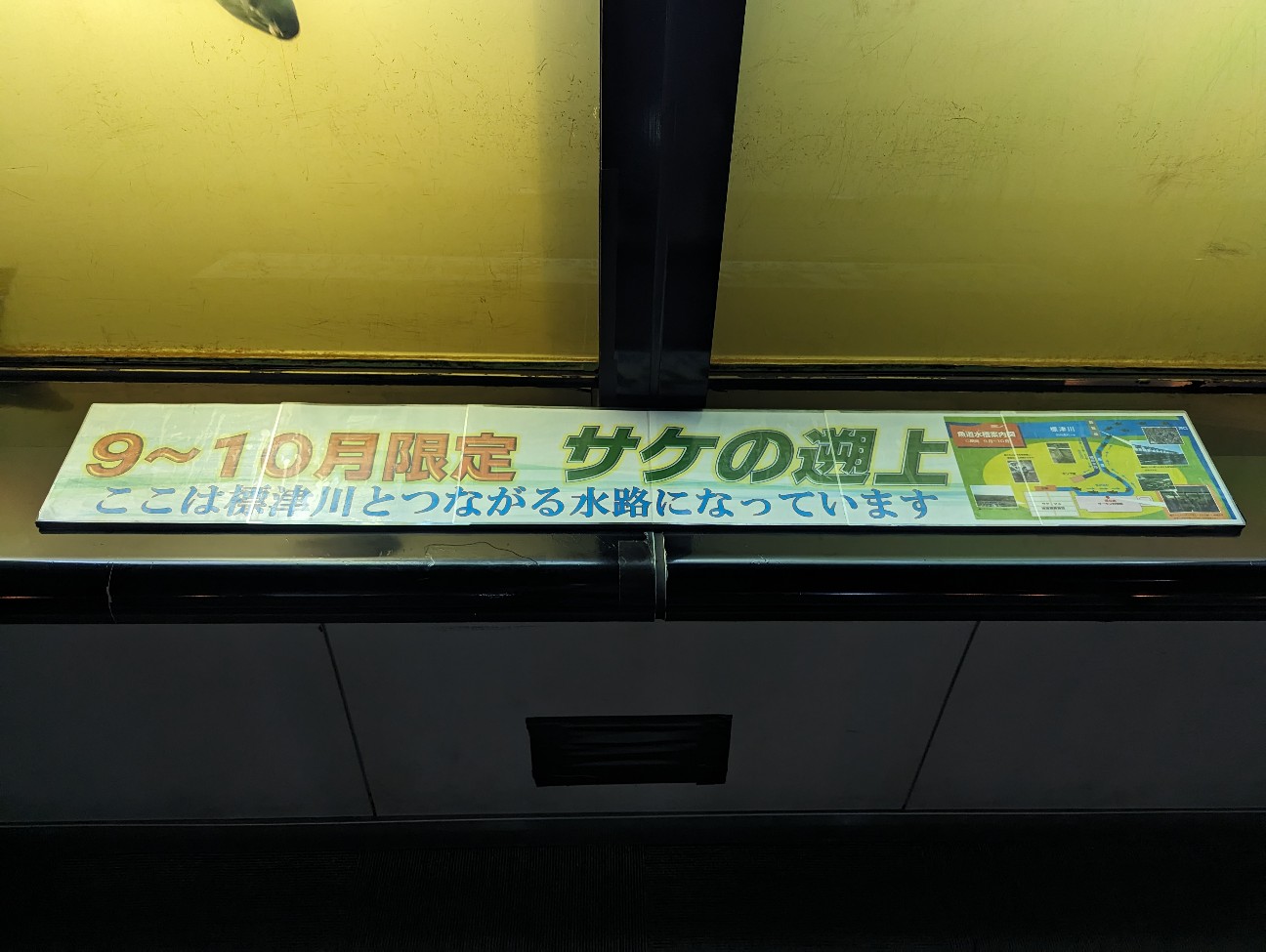 f:id:ranchou:20251201214223j:image f:id:ranchou:20251201214223j:image