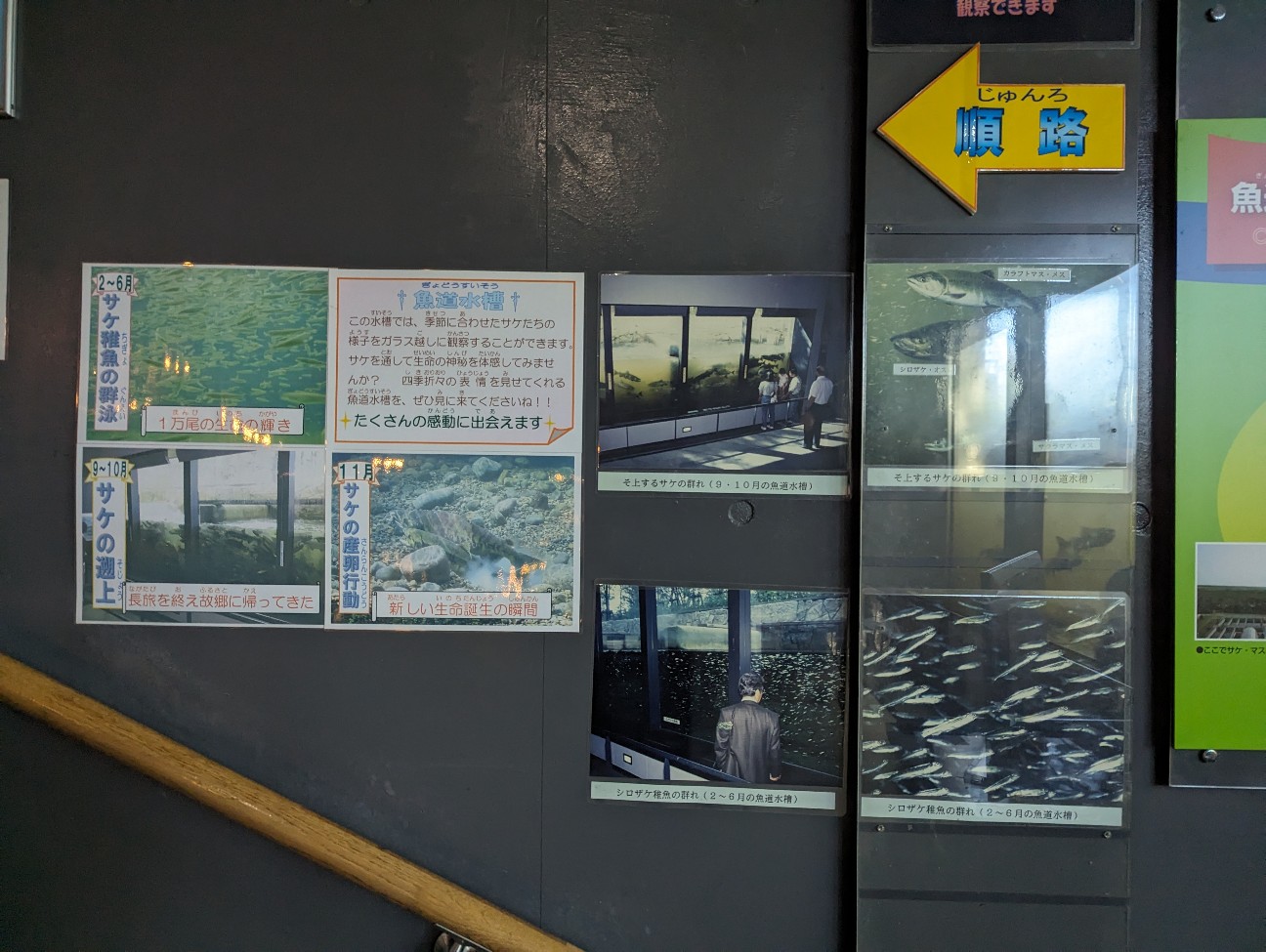 f:id:ranchou:20251201214233j:image f:id:ranchou:20251201214233j:image