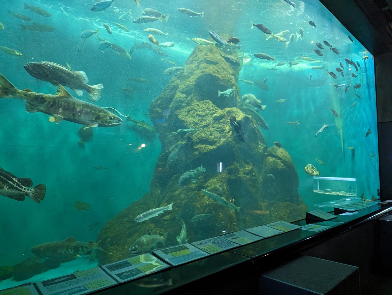 f:id:ranchou:20251201214323j:image f:id:ranchou:20251201214323j:image