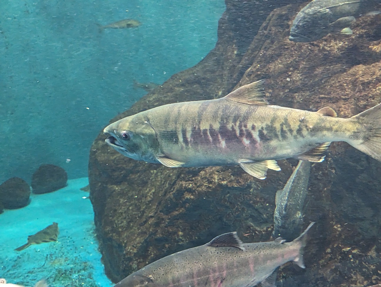 f:id:ranchou:20251201214335j:image f:id:ranchou:20251201214335j:image