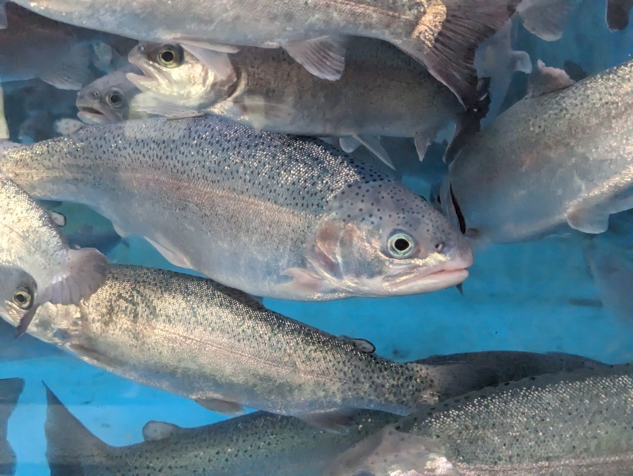 f:id:ranchou:20251201214508j:image f:id:ranchou:20251201214508j:image