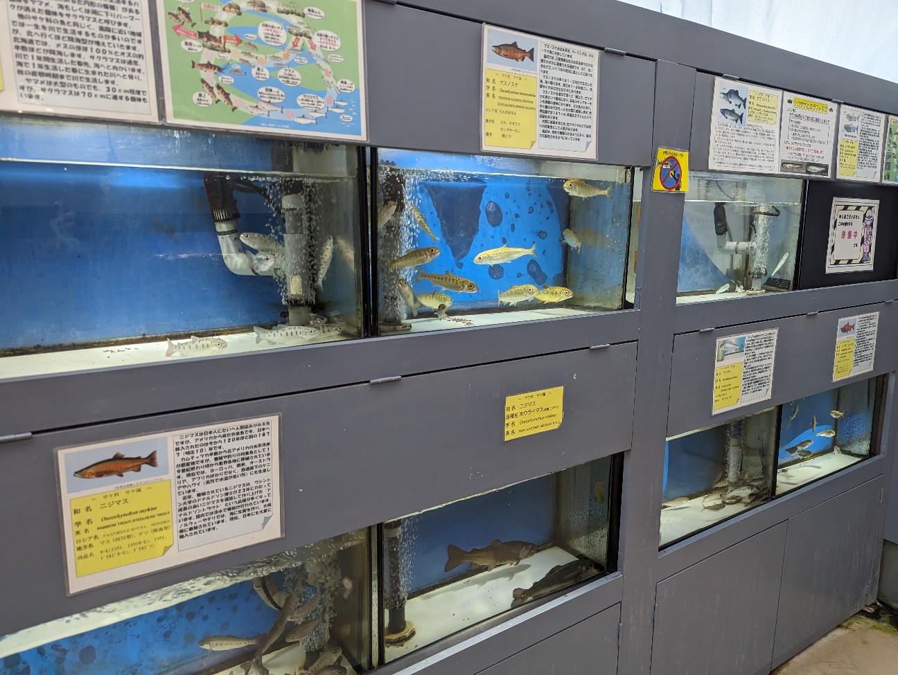 f:id:ranchou:20251201214558j:image f:id:ranchou:20251201214558j:image