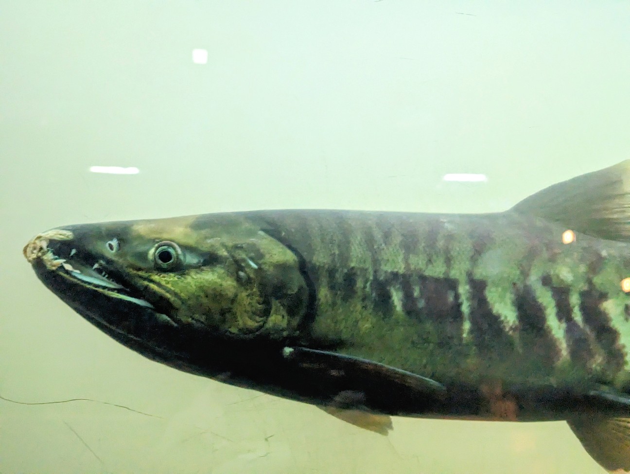 f:id:ranchou:20251201214625j:image f:id:ranchou:20251201214625j:image