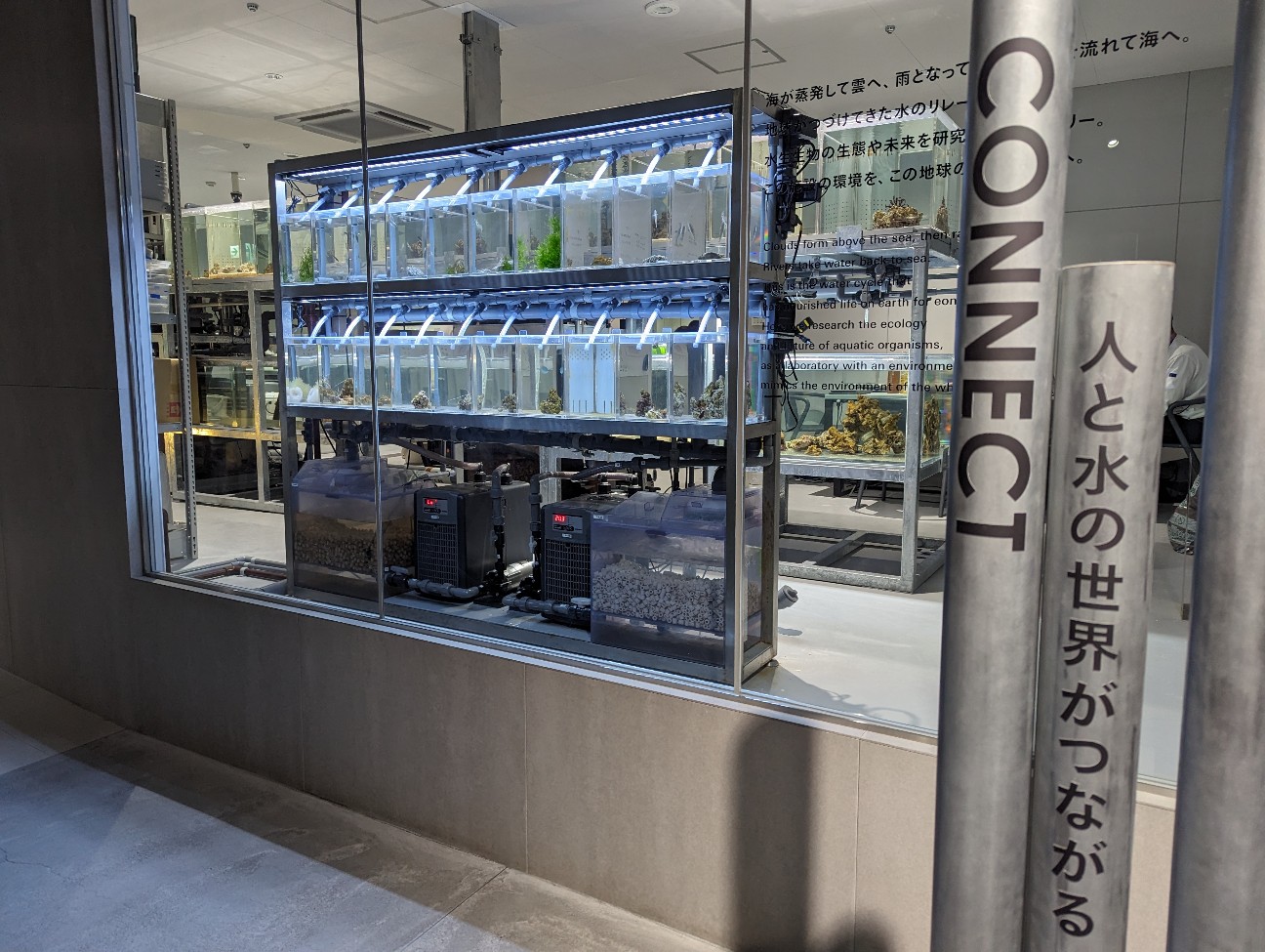 f:id:ranchou:20251202121801j:image