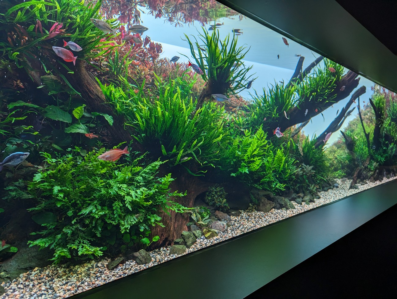 f:id:ranchou:20251202121814j:image