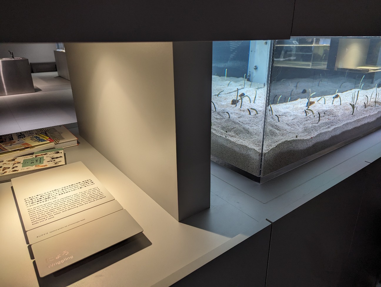 f:id:ranchou:20251202121937j:image