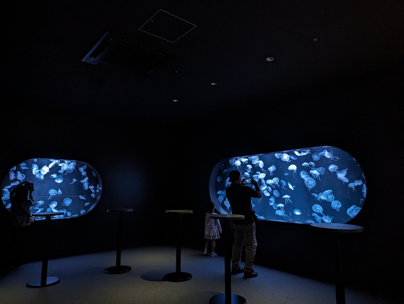 f:id:ranchou:20251202122033j:image