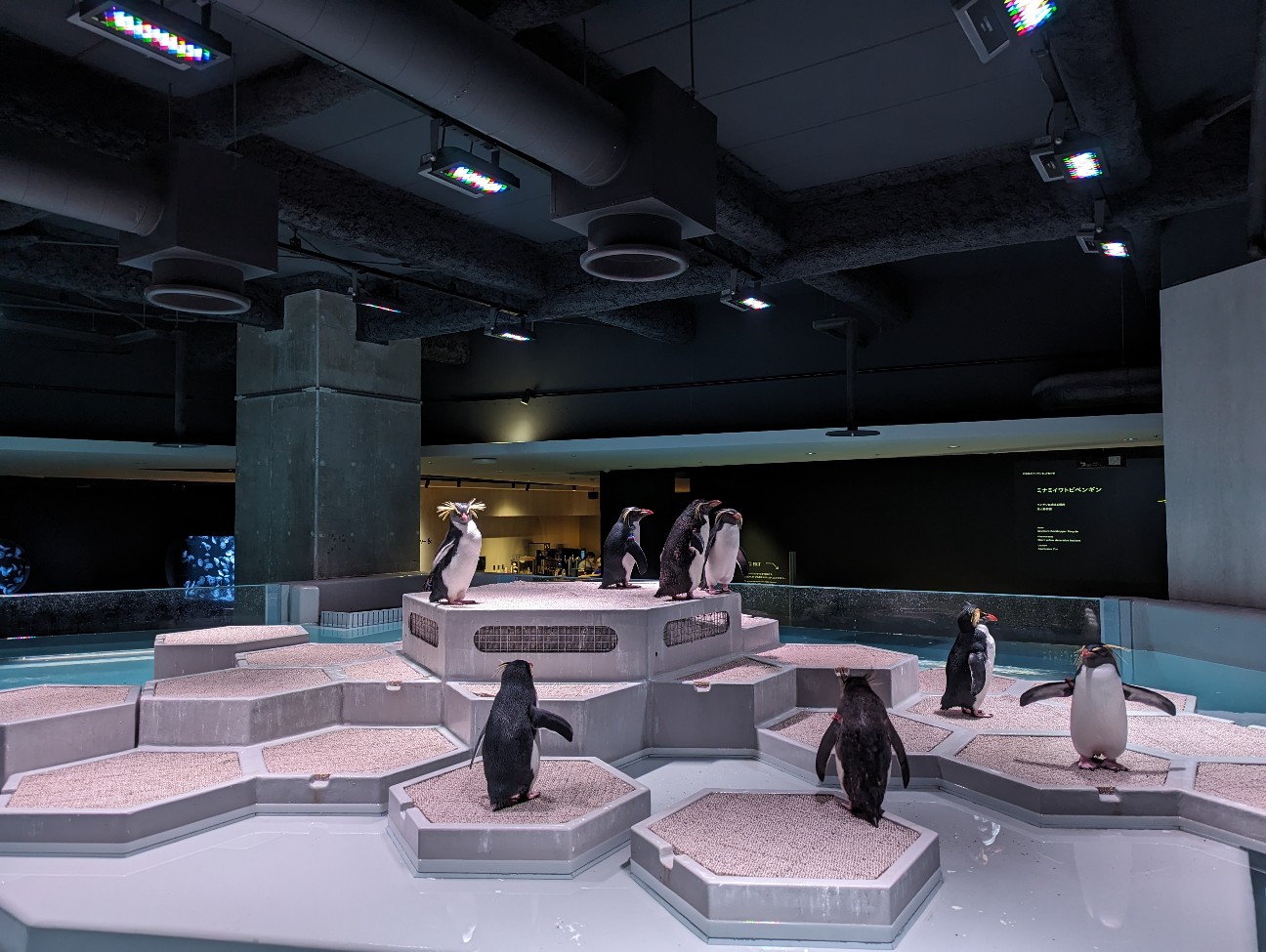 f:id:ranchou:20251202122045j:image