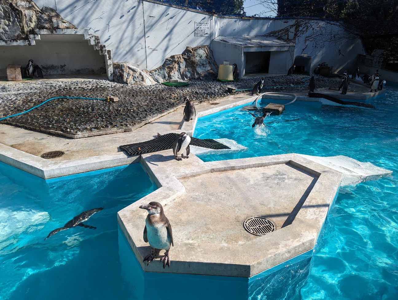 f:id:ranchou:20251202204506j:image