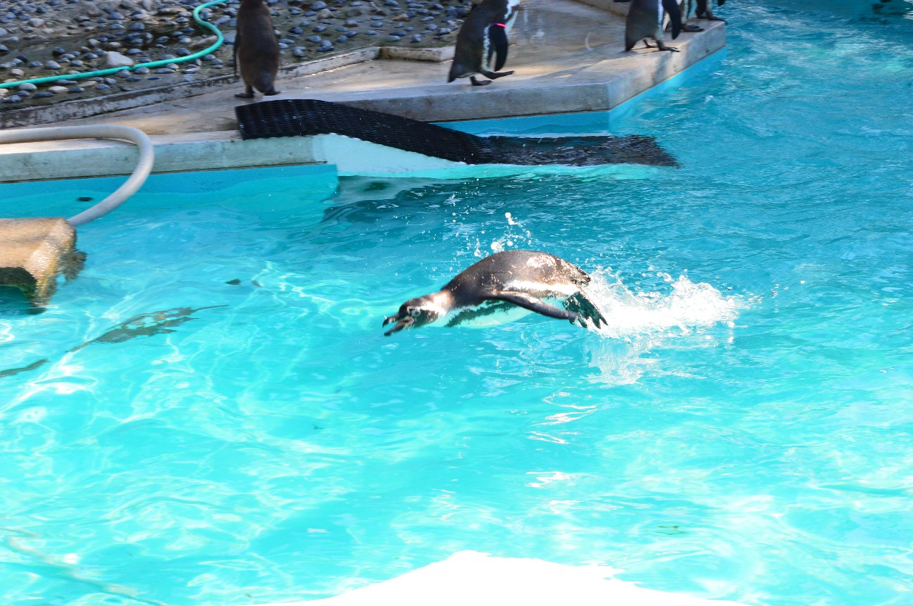 f:id:ranchou:20251202204512j:image