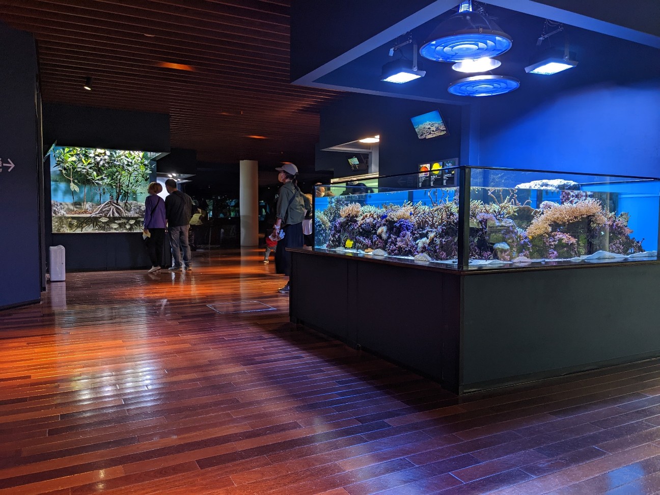 f:id:ranchou:20251205195543j:image