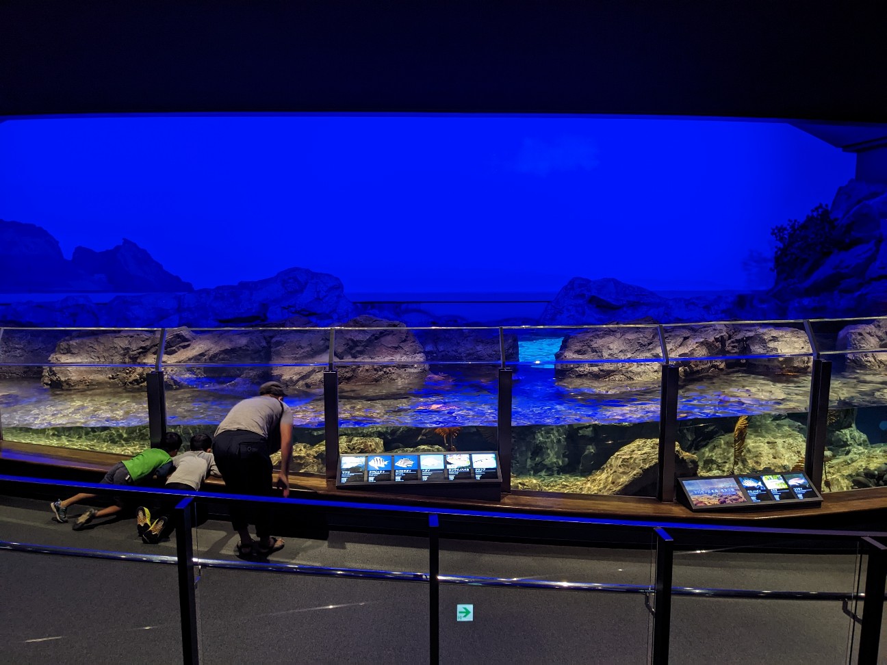 f:id:ranchou:20251205195609j:image