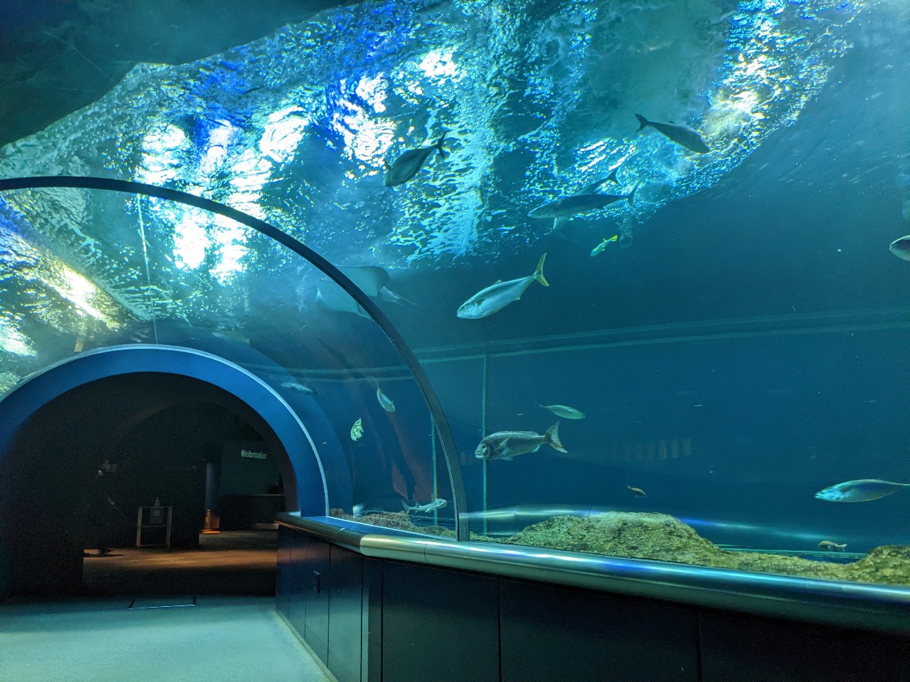 f:id:ranchou:20251205195622j:image