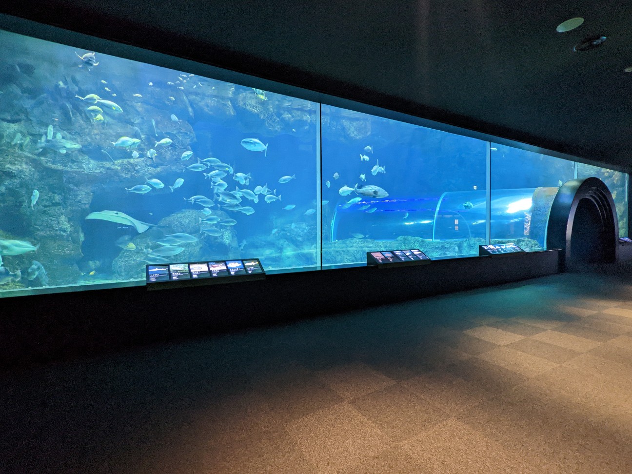 f:id:ranchou:20251205195638j:image