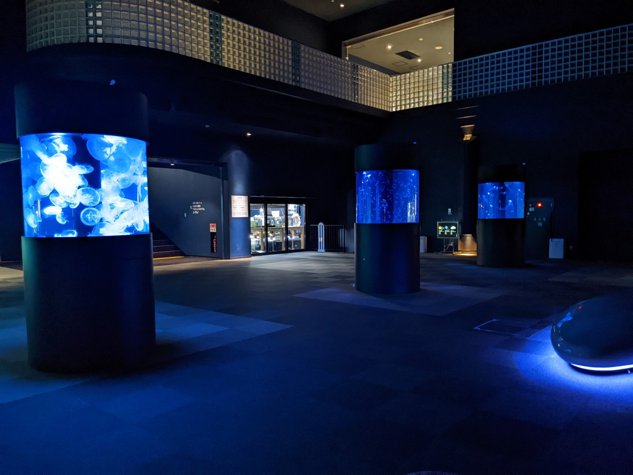 f:id:ranchou:20251205195712j:image