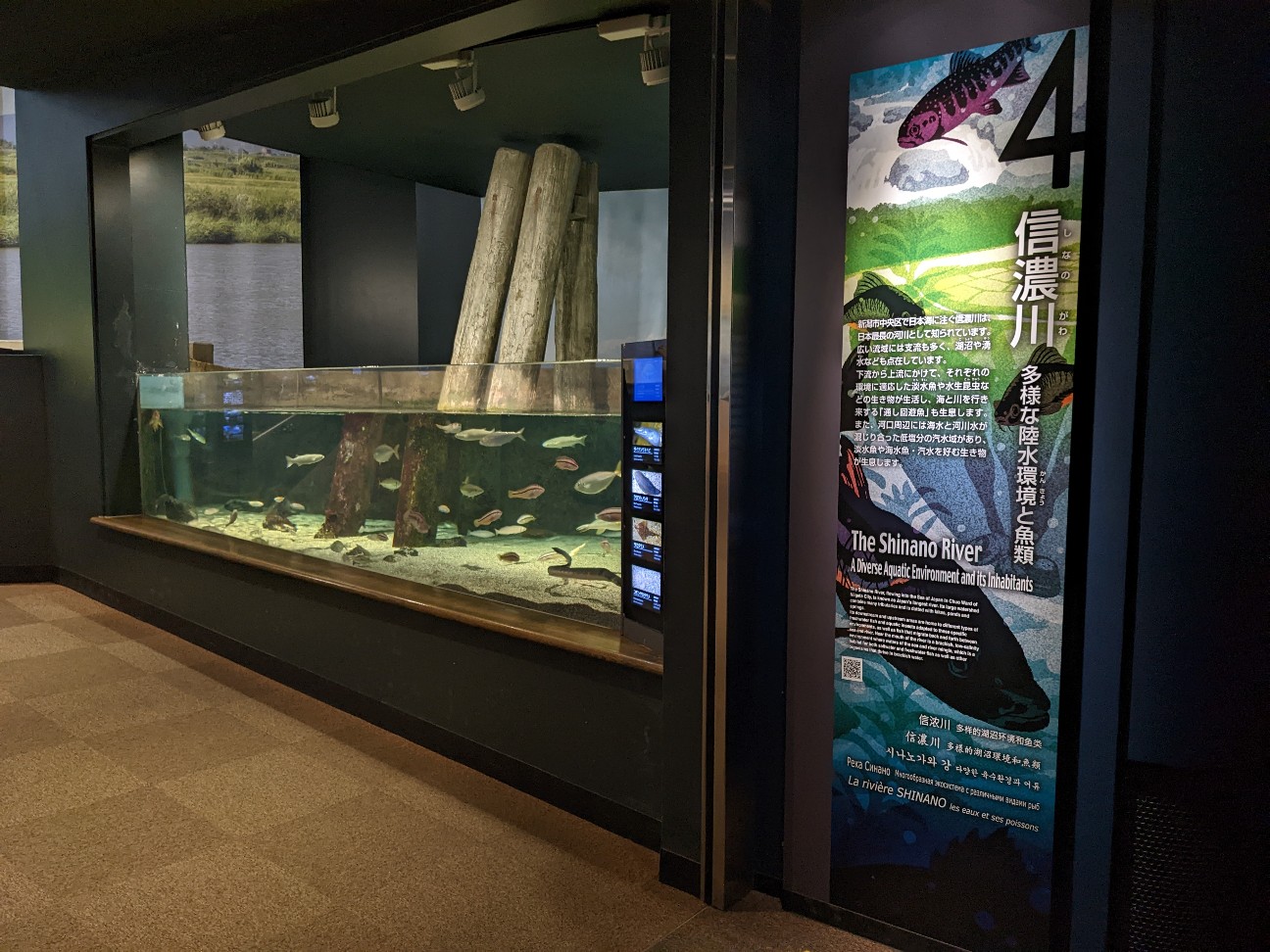 f:id:ranchou:20251205195723j:image