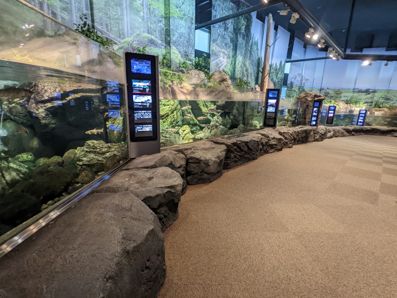 f:id:ranchou:20251205195744j:image