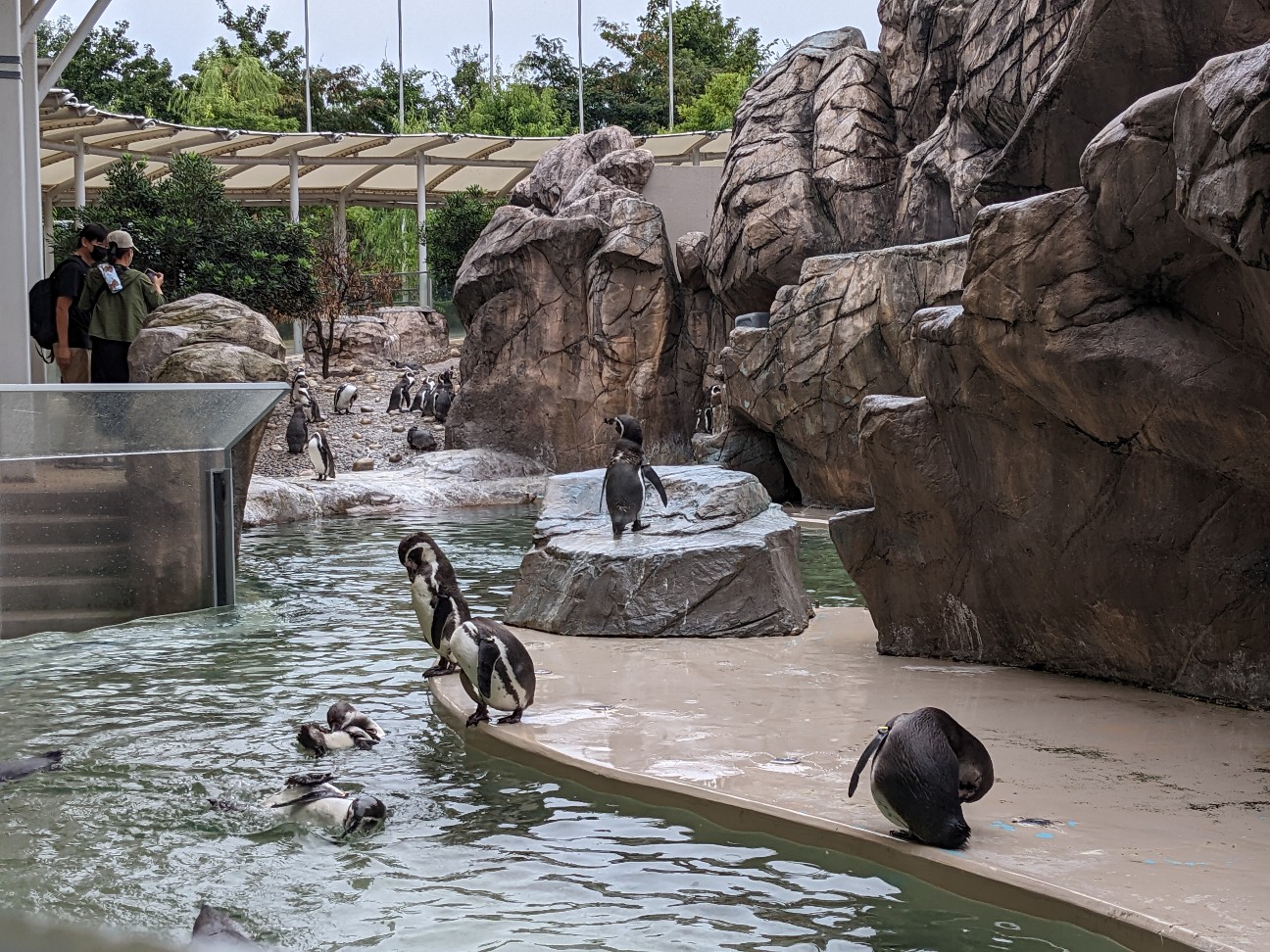 f:id:ranchou:20251205195836j:image