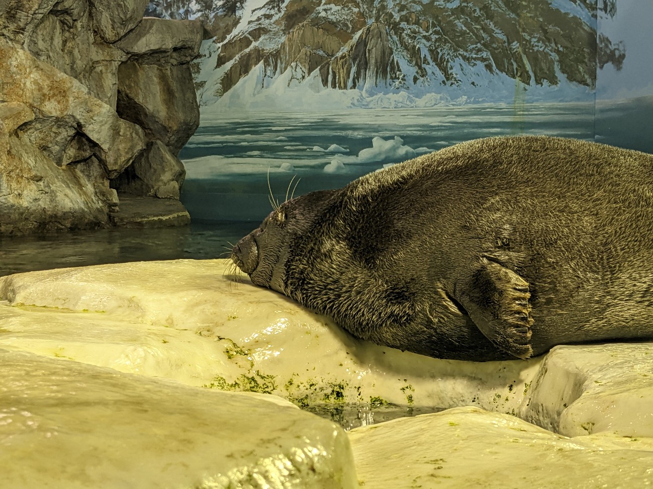 f:id:ranchou:20251205195848j:image