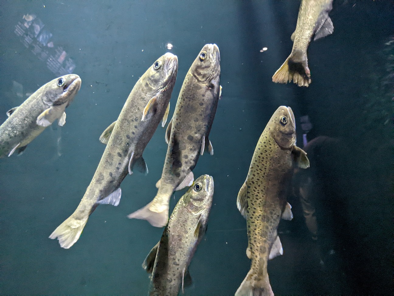 f:id:ranchou:20251205201244j:image f:id:ranchou:20251205201244j:image