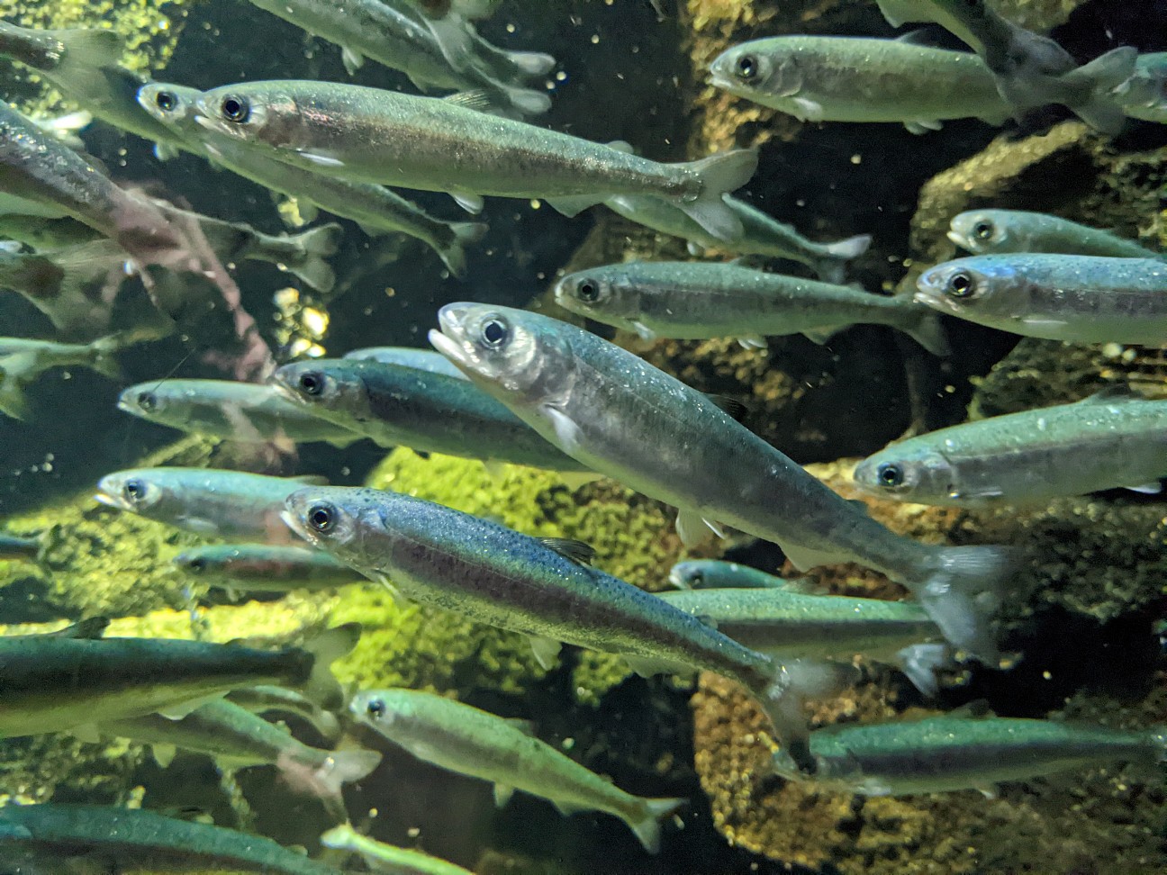 f:id:ranchou:20251205201331j:image f:id:ranchou:20251205201331j:image