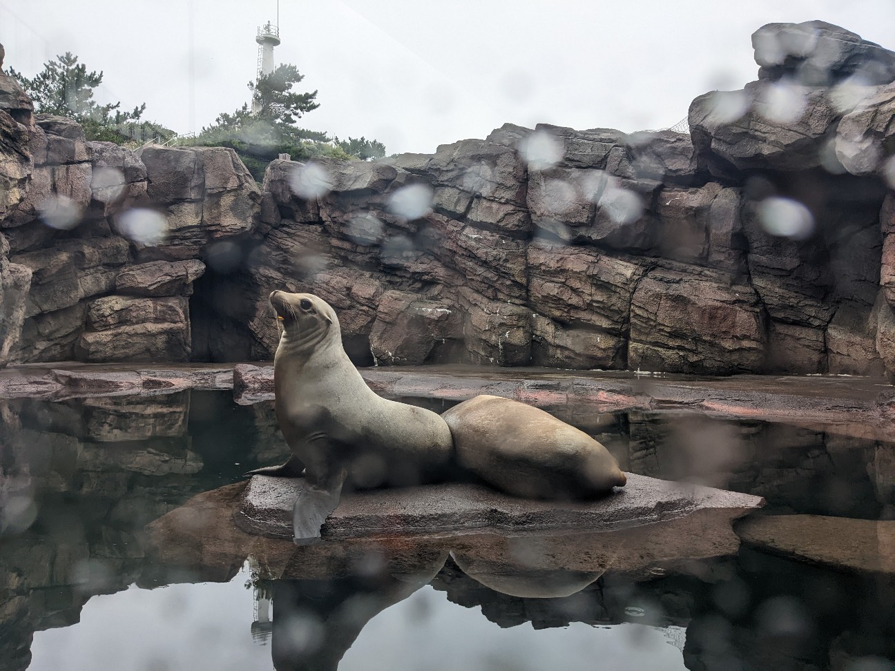 f:id:ranchou:20251205201349j:image f:id:ranchou:20251205201349j:image