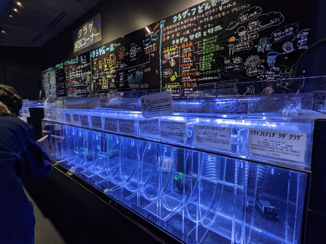 f:id:ranchou:20251205201430j:image f:id:ranchou:20251205201430j:image