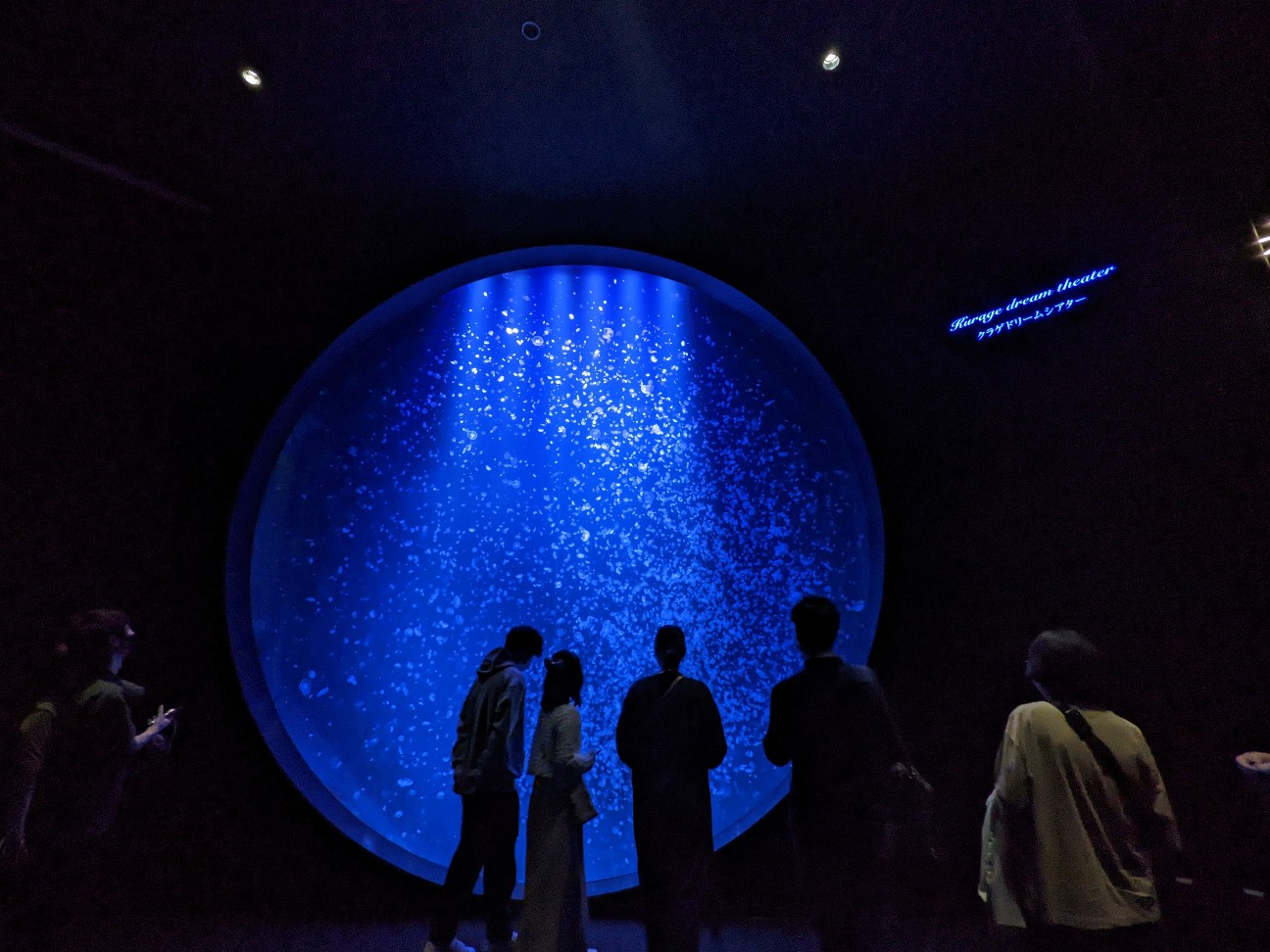 f:id:ranchou:20251205201459j:image f:id:ranchou:20251205201459j:image