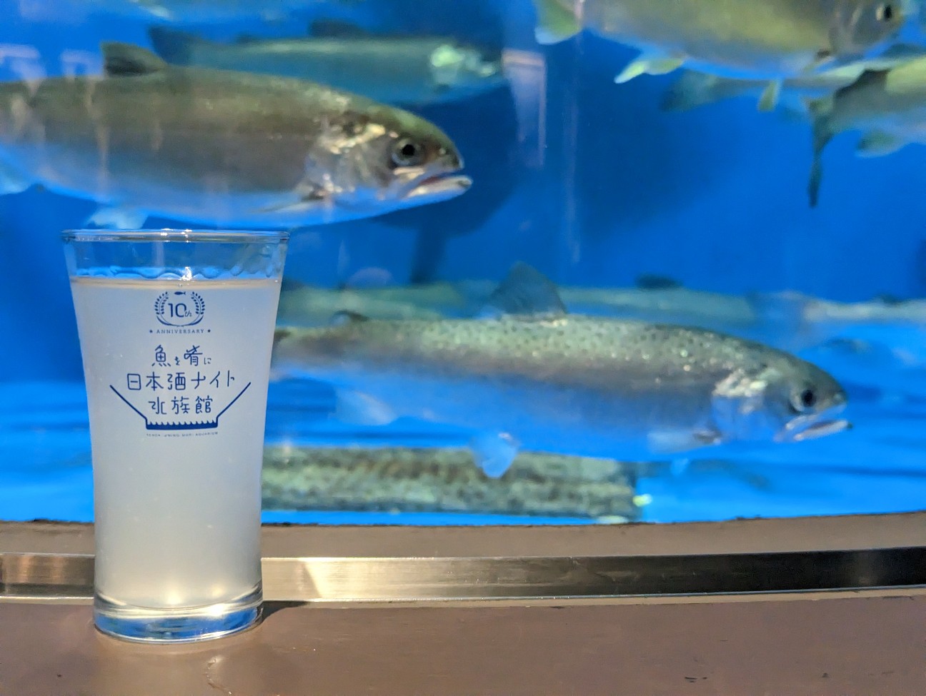 f:id:ranchou:20251205203044j:image