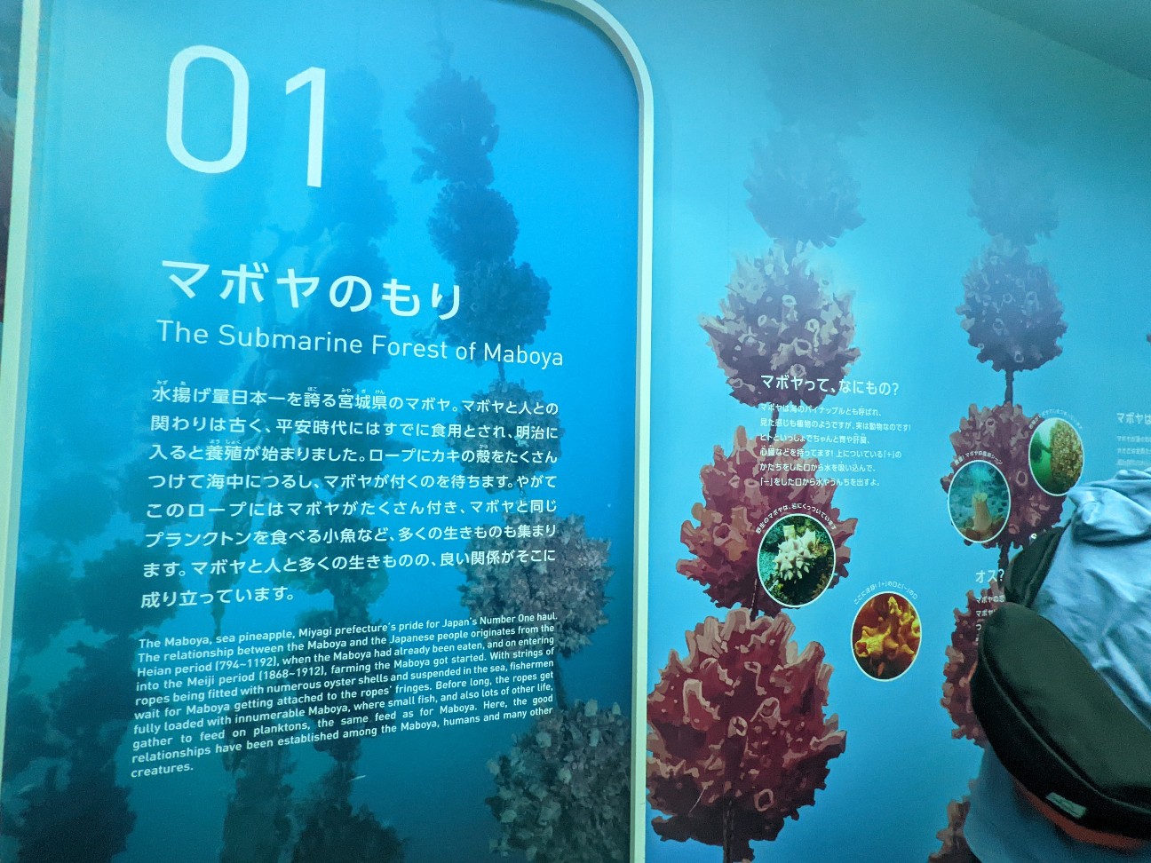 f:id:ranchou:20251205203351j:image