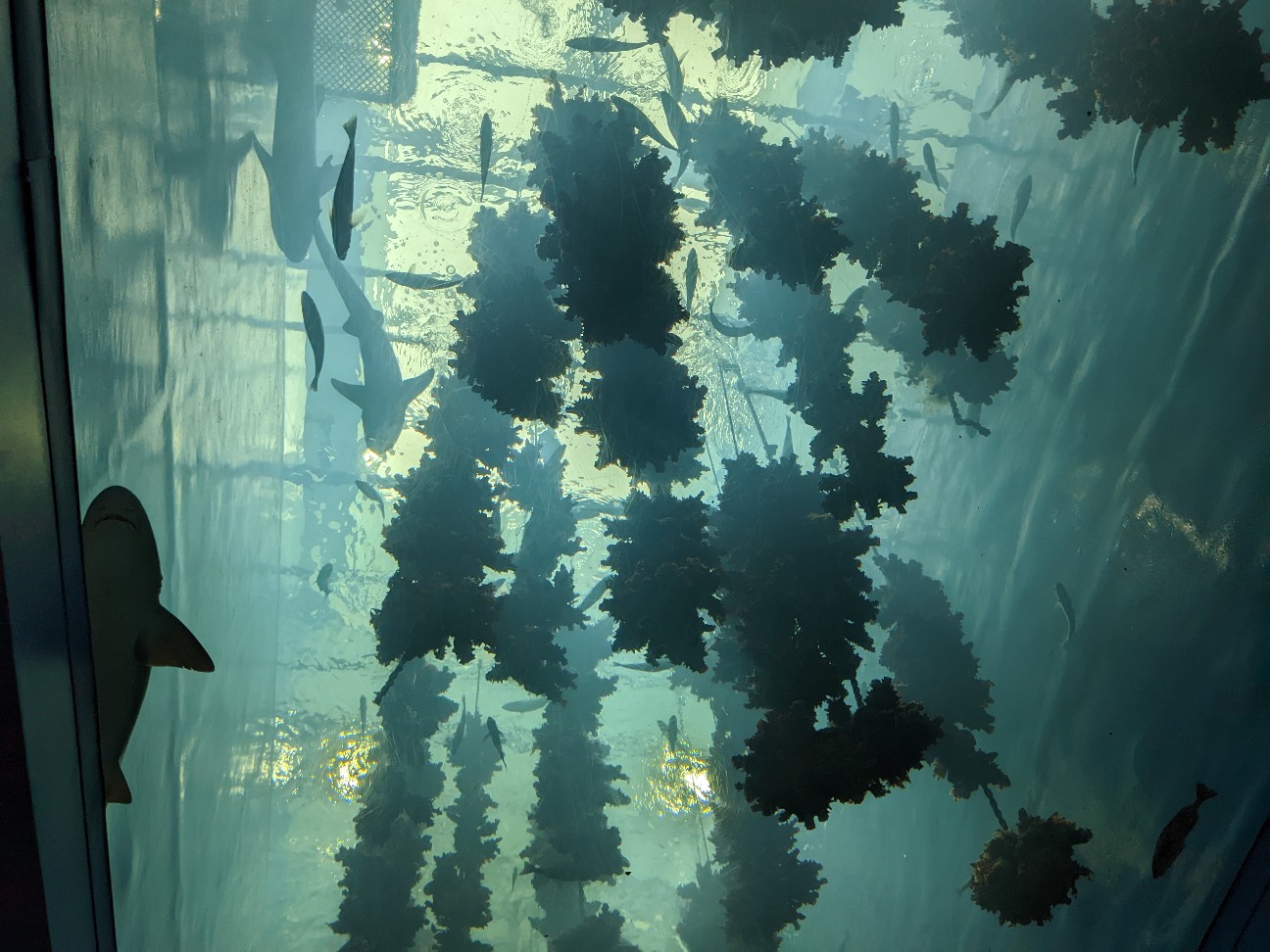 f:id:ranchou:20251205203409j:image