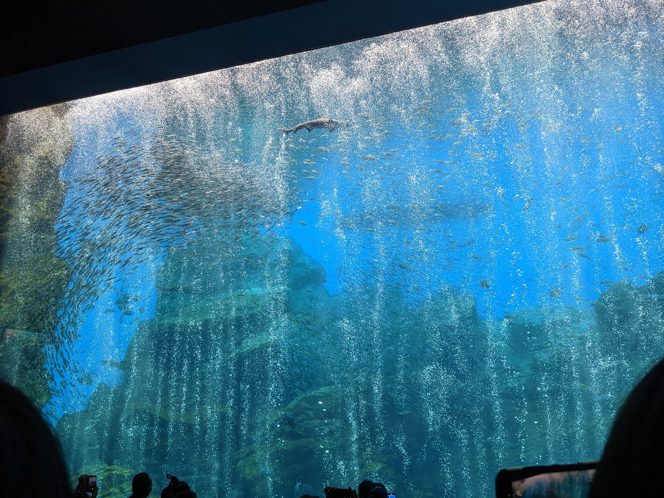 f:id:ranchou:20251207141708j:image